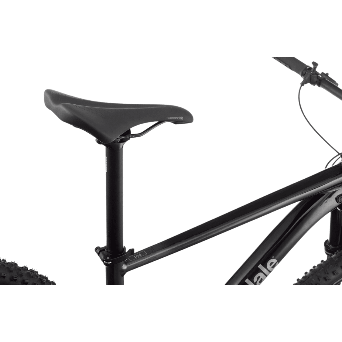 Bicicleta 29 Cannondale Trail SL 3 1×10 - Imagen 2